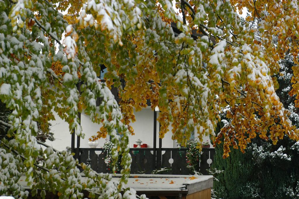 Landhaus Alpenblick Apartamento Garmisch-Partenkirchen Exterior foto